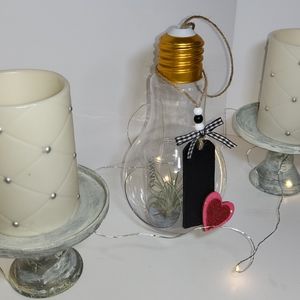 Valentine's Air Plant and decorative Air Plant Holder